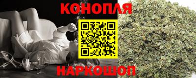ешки Кингисепп