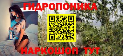 спайс Кинель