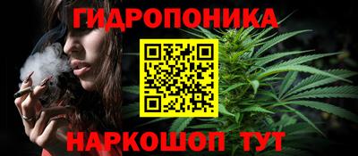 стафф Кандалакша
